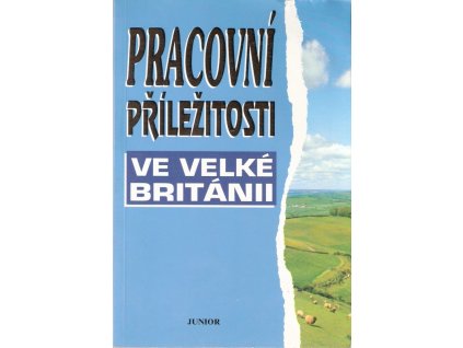 419270 pracovni prilezitosti ve velke britanii