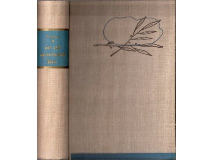 420611 zde lezi nejkrasnejsi zena here lies a most beautiful lady