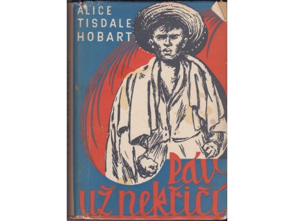 426029 pav uz nekrici