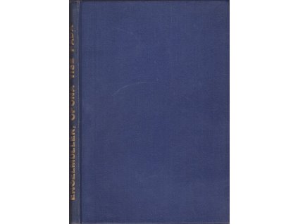 431183 opona tise pada