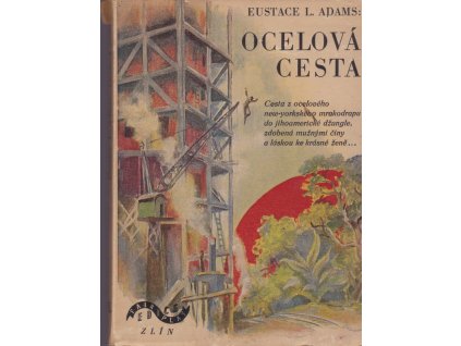 431480 ocelova cesta