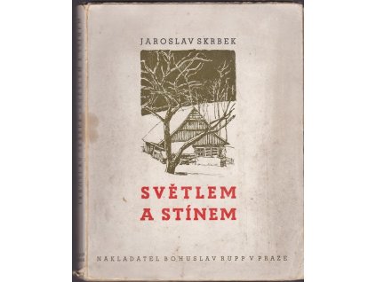 431597 svetlem a stinem