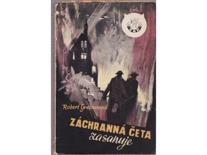 433367 zachranna ceta zasahuje