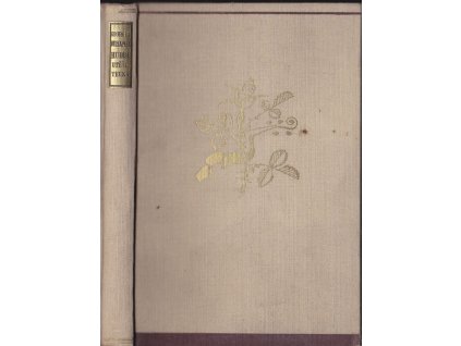 433493 hudba utesitelka