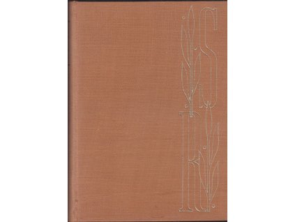 435008 dumyslny rytir don quijote de la mancha dil 2