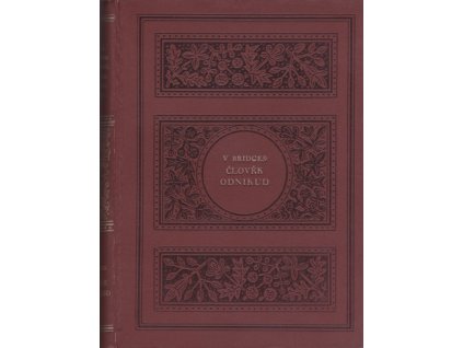 437930 clovek odnikud roman