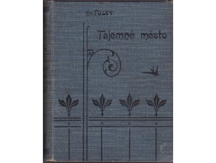 438107 tajemne mesto roman