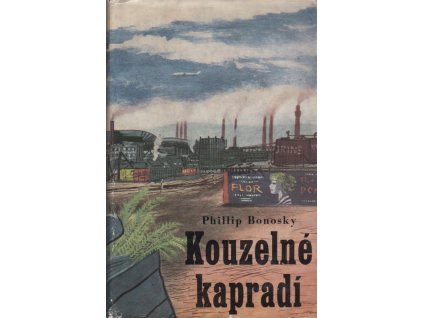 438320 kouzelne kapradi