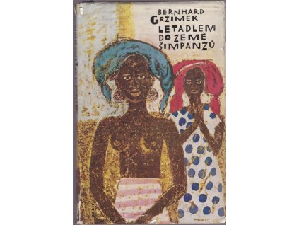 440147 letadlem do zeme simpanzu