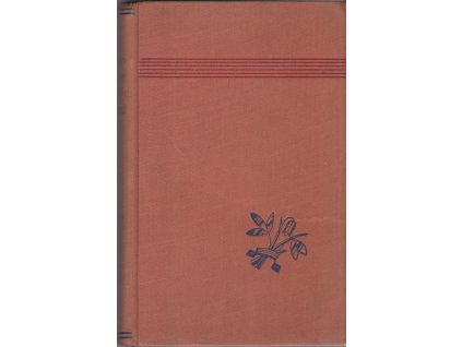 441161 pani nasich snu roman