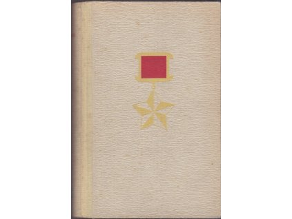 441521 rytir zlate hvezdy