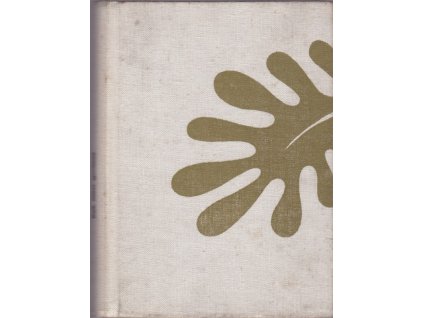 441572 rok mezi gorilami