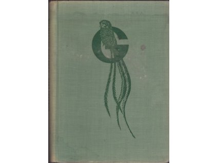 442055 usmevava guatemala crty a snimky z cest