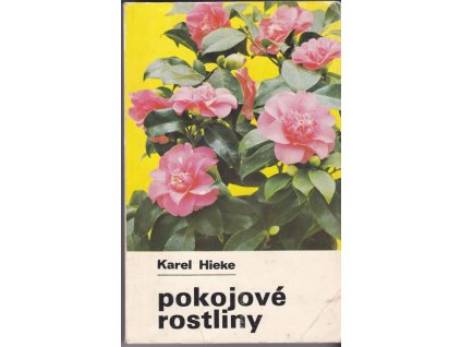 444569 pokojove rostliny