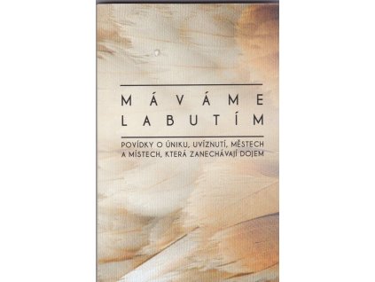 445829 mavame labutim
