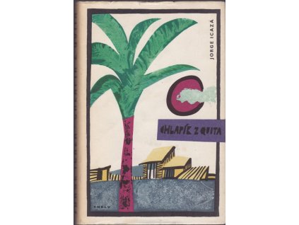 446069 chlapik z quita