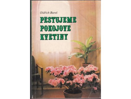 447530 pestujeme pokojove kvetiny