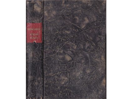 449132 vsedni pribeh roman o 2 castech