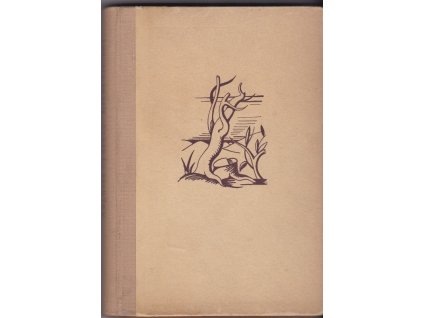 449597 zivot vitezny roman