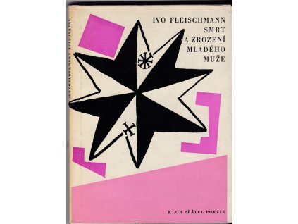 449993 smrt a zrozeni mladeho muze a jine pribehy