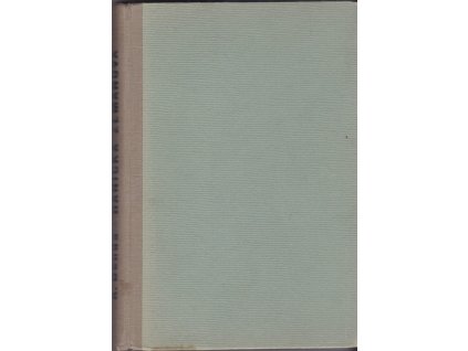 450338 hanicka zemanova pribeh devcatka