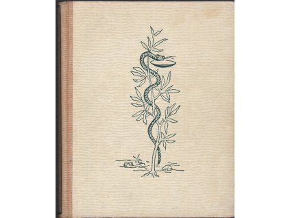 450569 vesnicky lekar ves u reky tri bratri