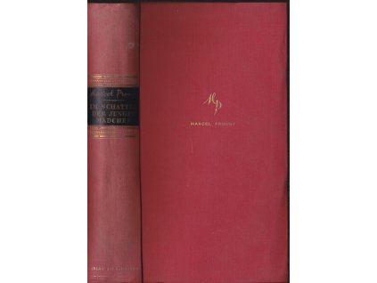 453515 im schatten der jungen madchen