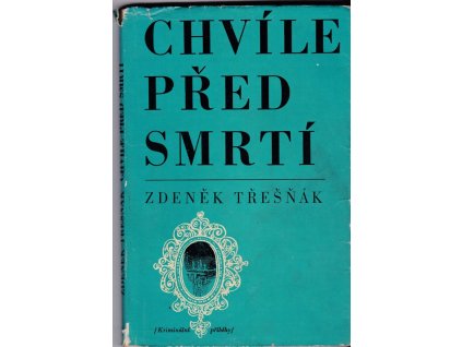 454811 chvile pred smrti kriminalni pribehy