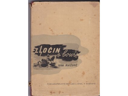 456341 zlocin v bouri