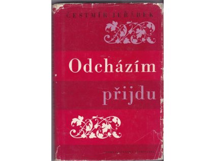 458117 odchazim prijdu roman a pravda o bozene nemcove