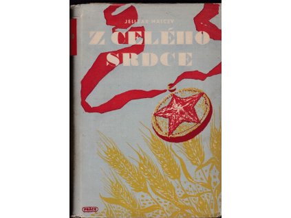 458447 z celeho srdce roman