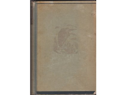 461564 boj o divocinu