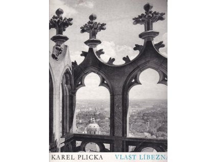 463451 vlast libezna