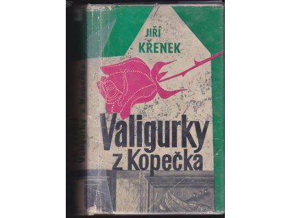 463667 valigurky z kopecka