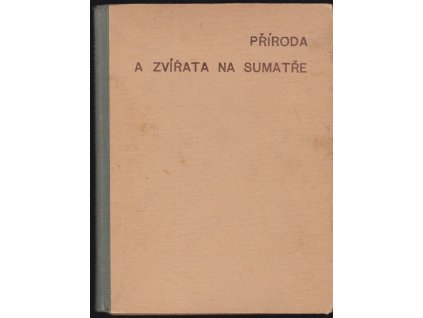 463718 priroda a zvirata na sumatre obrazky z horkych kraju