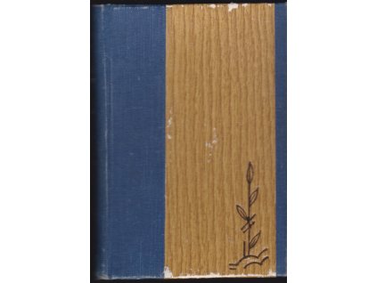 463913 teddy tulak gentleman