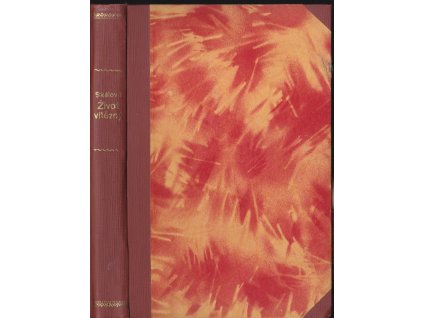 463916 zivot vitezny roman