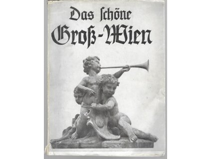 464894 das schone gro wien ein bilderbuch von den schonheiten des neuen wien