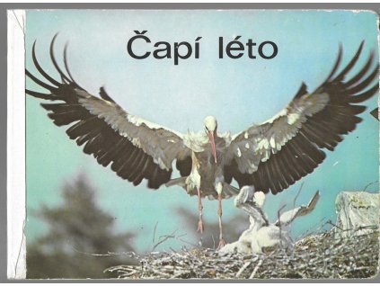 465392 capi leto