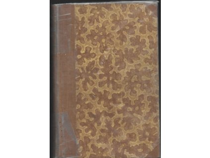 465986 americka slechta roman