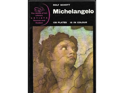 468995 michelangelo