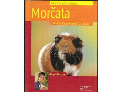 469001 morcata chov pece porozumeni zabaveni