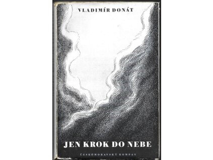 469148 jen krok do nebe roman