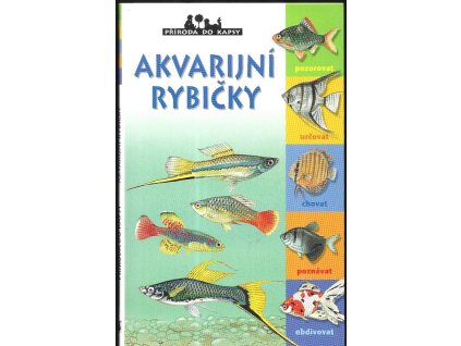 471080 akvarijni rybicky