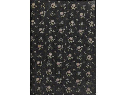 473486 zabec o jeho radostech i strastech divci roman