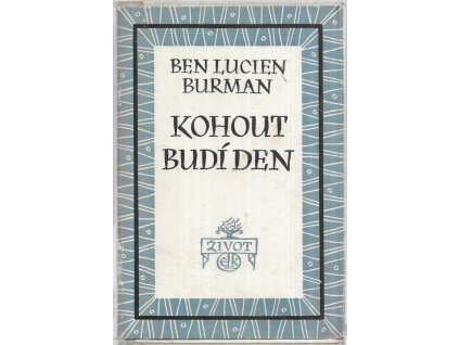 479567 kohout budi den roman