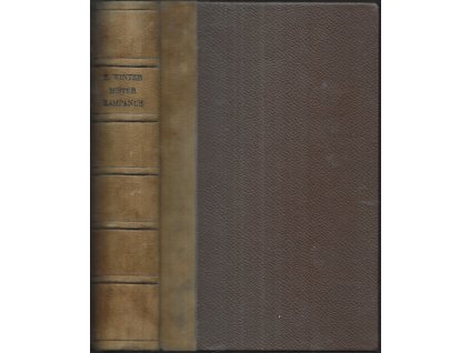 479966 mistr kampanus historicky obraz