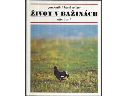 480926 zivot v bazinach pro deti od 12 let