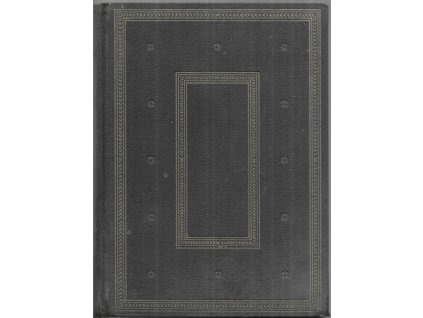 482309 domnely zaletnik humoristicky roman