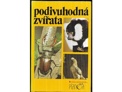 482867 podivuhodna zvirata